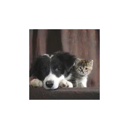 Logo de A.D.O.P.T. Pet Shelter