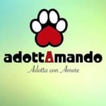 Adott Amando no diretório AnimalProtech