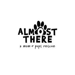 logotipo Almost There Rescue