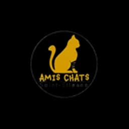 logotipo Amis Chats