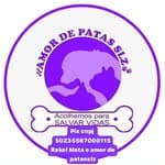 Amor de Patas Slz no diretório AnimalProtech