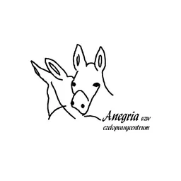 Logo of Anegria