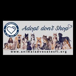 Banner de adopción del sitio oficial de Animal Advocates FL