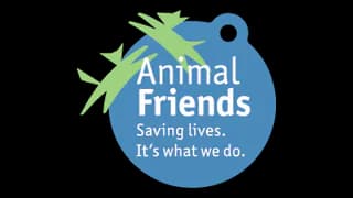 Animal Friends official logo