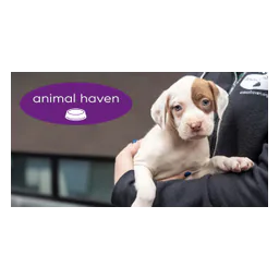 Marque Animal Haven avec un chiot
