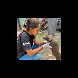 Animal People Alliance Kolkata logo