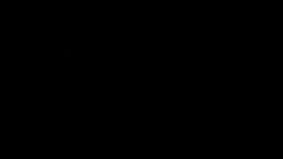 Logotipo de la organización de protección animal Animales con una Misión de Integración