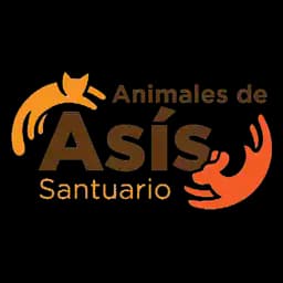Animales de Asís logo