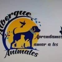 Aprendamos a amar a los animales no diretório AnimalProtech