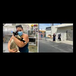 Fotos del centro de ARE Animal Rescue en su página oficial de Hemet