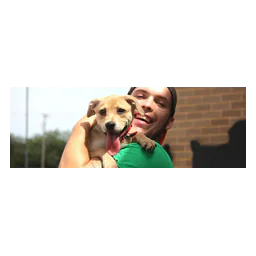 Person holding a brown puppy on the official Arlington Animal Services page