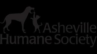 Imagen oficial del perfil de Asheville Humane Society