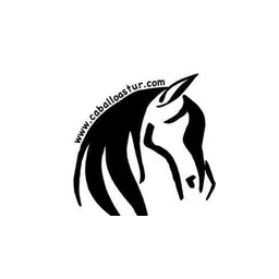 Asociación Caballoastur logo