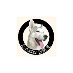 logotipo Association Baïkal