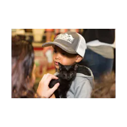 Image from the official website of Baltimore Animal Rescue and Care Shelter (BARCS)
