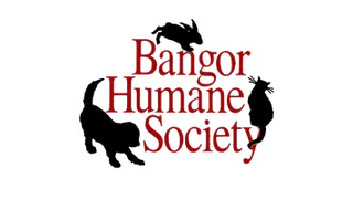 Imagen oficial del perfil de Bangor Humane Society