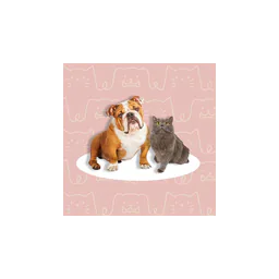 Bathurst SPCA logo