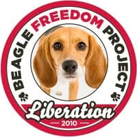 Beagle Freedom Project no diretório AnimalProtech