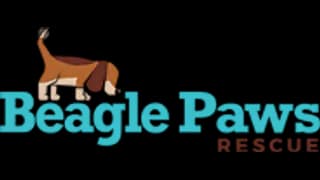 Logotipo de la organización Beagle Paws Rescue