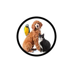 Brant County SPCA logo