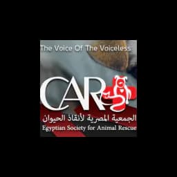 logotipo Cairo Animal Rescue Team (CART)