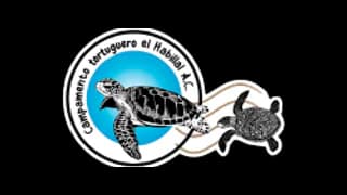 Logotipo de la organización de protección animal Campamento Tortuguero El Habillal