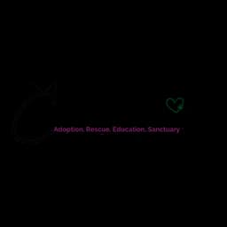logotipo Catmandu