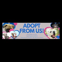 Official animal-adoption graphic from Champaign County Animal Control