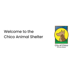 Imagem do site oficial de Chico Animal Shelter