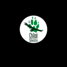 logotipo Chiloé Silvestre