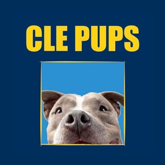 Cle Pups no diretório AnimalProtech