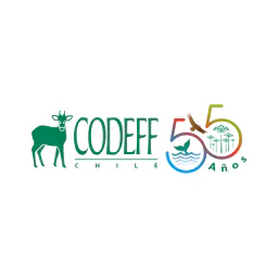 CODEFF logo
