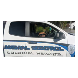Dog in a Colonial Heights animal-control vehicle on the official shelter page