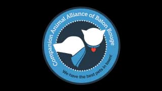Imagem oficial do perfil de Companion Animal Alliance