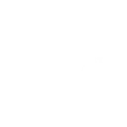 Logo de Concern for Animals