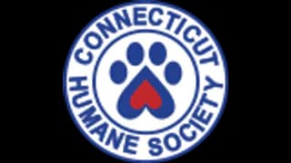 Official profile image of Connecticut Humane Society