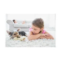 Una niña con un gato en la imagen mostrada en el sitio oficial de Corinth Alcorn Animal Shelter