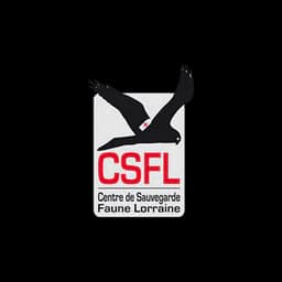 Logo of CSFL – Centre de Sauvegarde de la Faune Lorraine