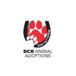 logotipo DCH Animal Adoptions