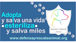 Logotipo de la organización de protección animal Defensa y Rescate Animal