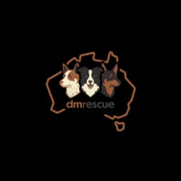 DM Rescue logo