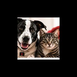 Dubois County Humane Society logo