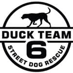 Duck Team 6 Steet no diretório AnimalProtech