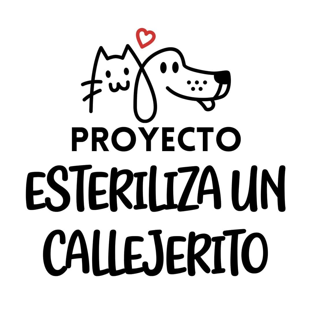 Esteriliza un Callejerito no diretório AnimalProtech