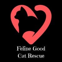 Feline Good no diretório AnimalProtech