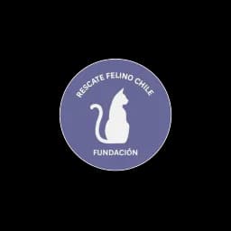 logotipo Fundación Rescate Felino Chile
