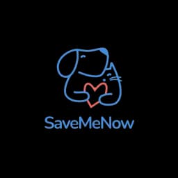 Fundación Save Me Now logo
