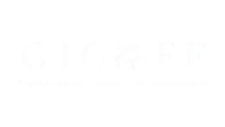 GICOFF animal protection organization logo