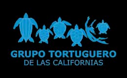 Grupo Tortuguero de las Californias animal protection organization logo