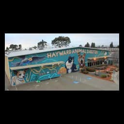 Official photo of the Hayward Animal Shelter facility